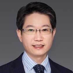 Prof. Dr. Hongbo Chen