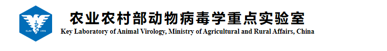 organizer logo
