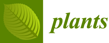 Plants