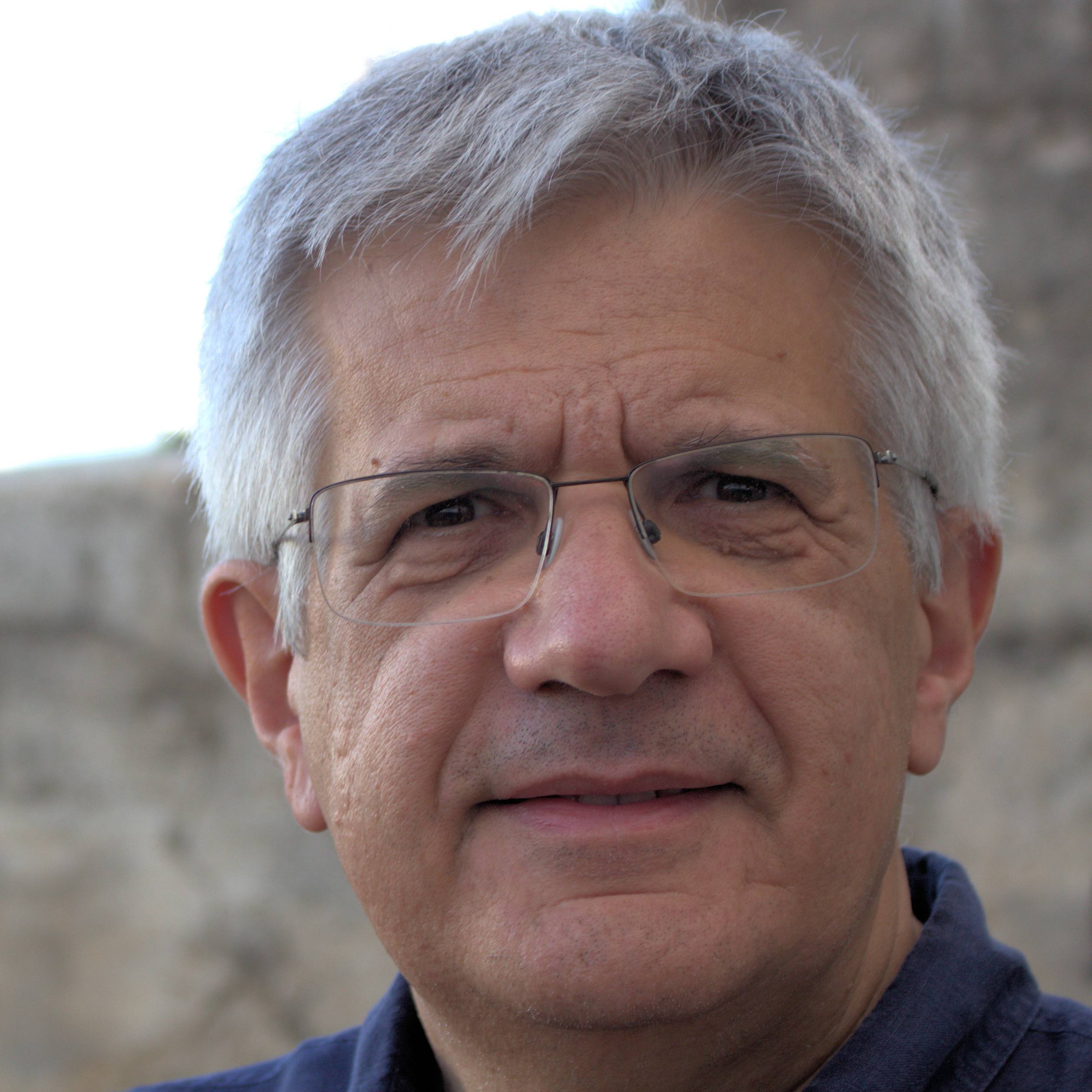 Prof. Gabriele Bitelli