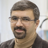 Prof. Dr. Mohammad J. Taherzadeh Esfahani