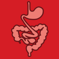 Gastrointestinal Disorders