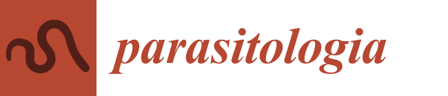 organizer logo