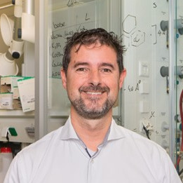 Prof. Dr. Romano Orrù