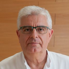 Prof. Dr. Antoni Torres
