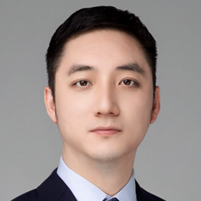 Prof. Fan Liu