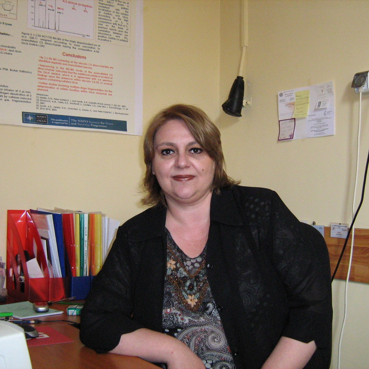 Prof. Dr. Alina Diana Zamfir