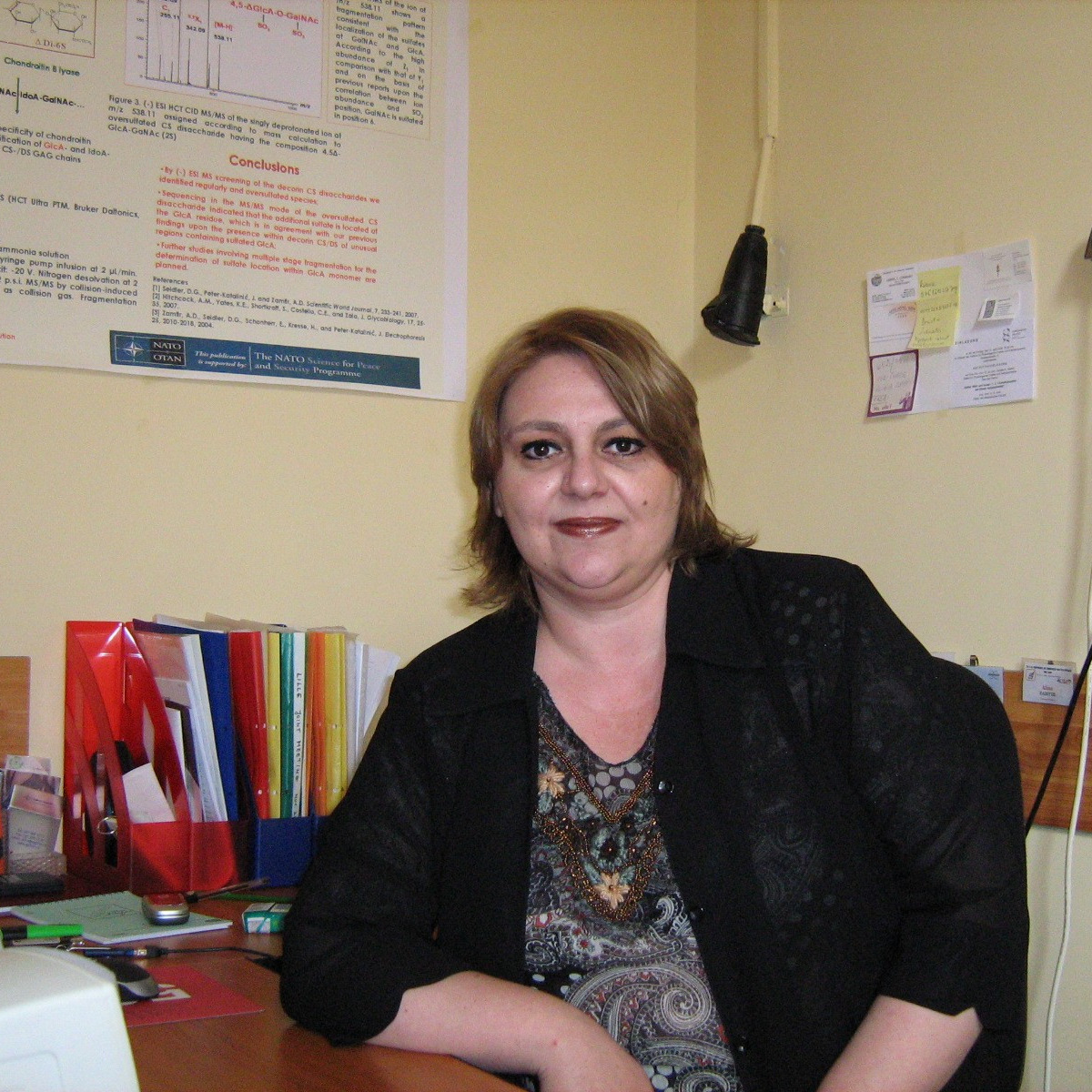 Prof. Dr. Alina Diana Zamfir