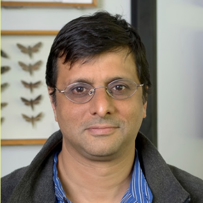 Prof. Dr. Sanjay Sane