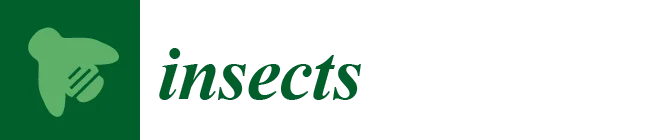 Insects