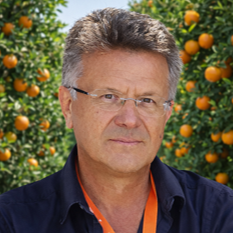 Prof. Dr. Antonio Ippolito