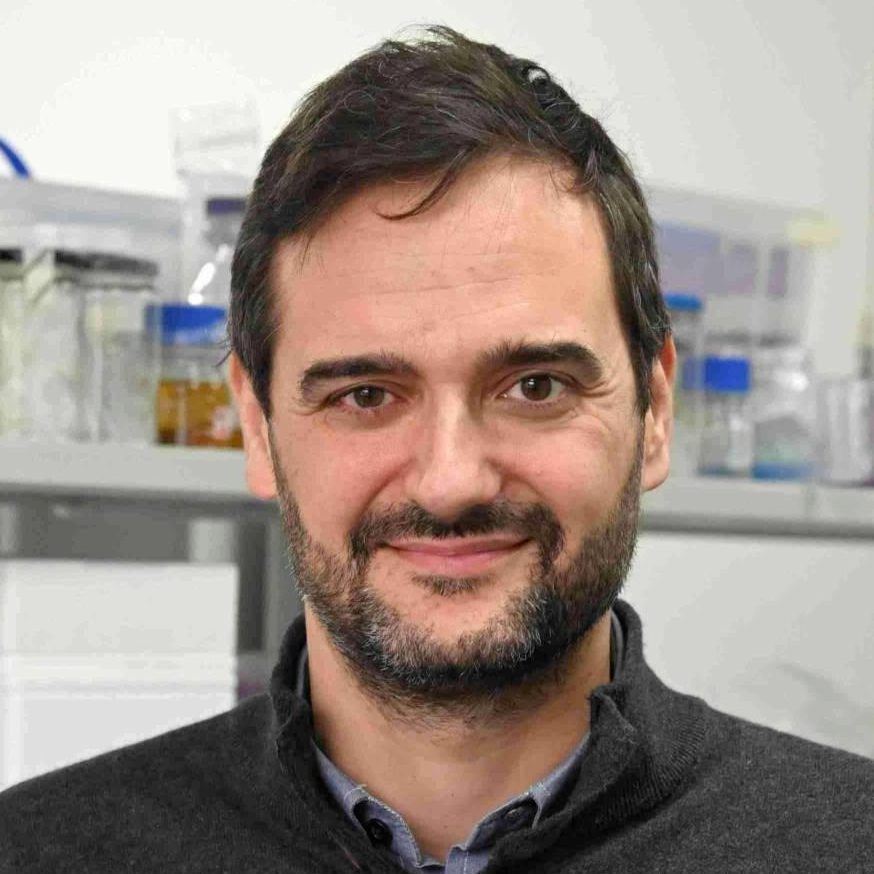 Dr. Nuno Azevedo