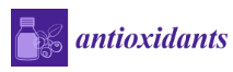 Antioxidants