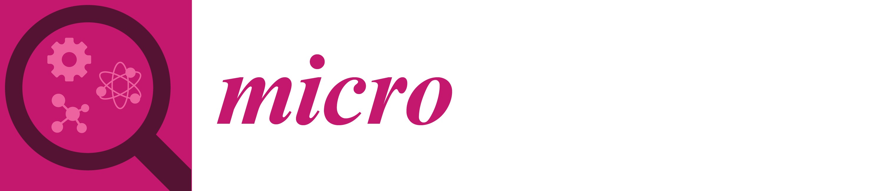 Micro