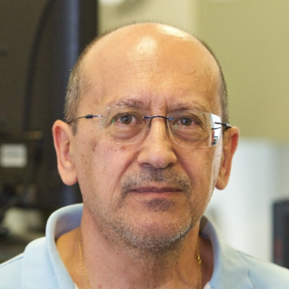 Prof. Dr. Diego Cazorla-Amorós