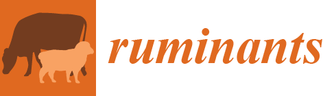 Ruminants