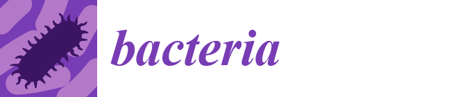 organizer logo