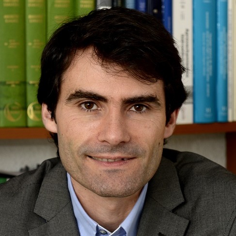 Prof. Dr. Luis Jesús Mediero Orduña