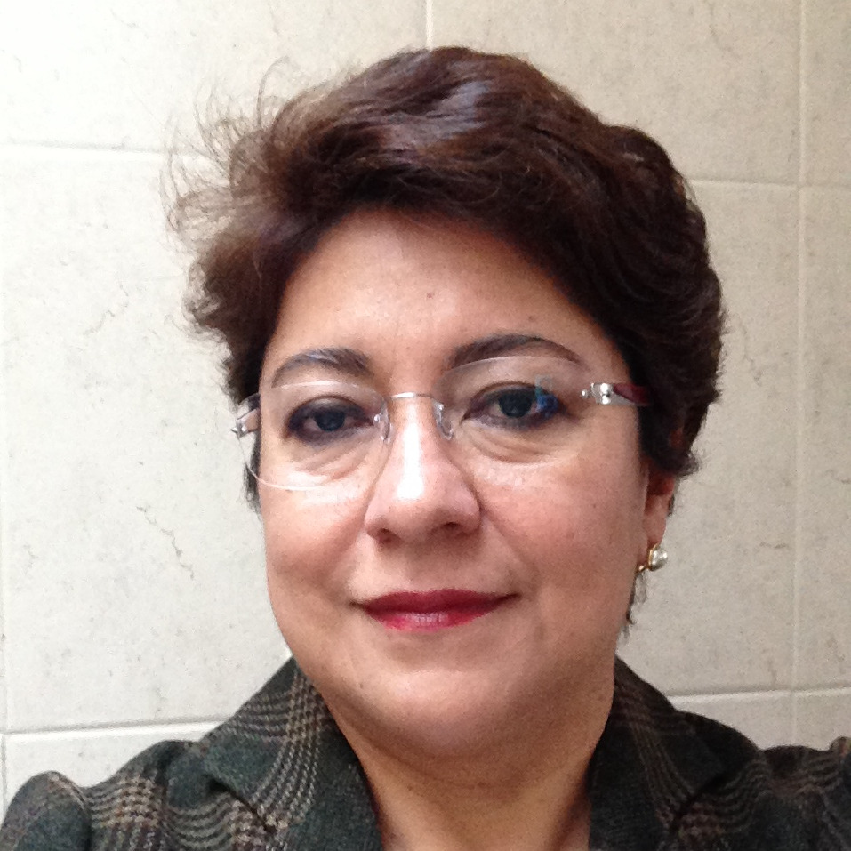 Prof. Dr. Nimbe Torres
