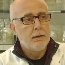 Prof. Marçal Pastor Anglada