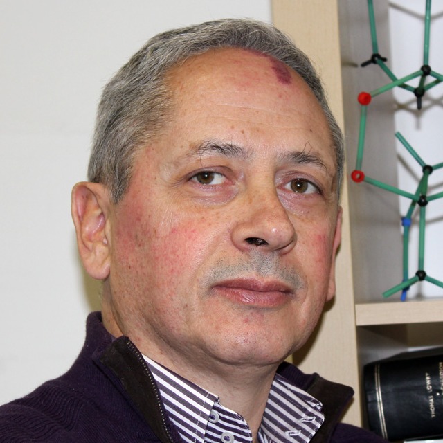 Prof. Rui Moreira