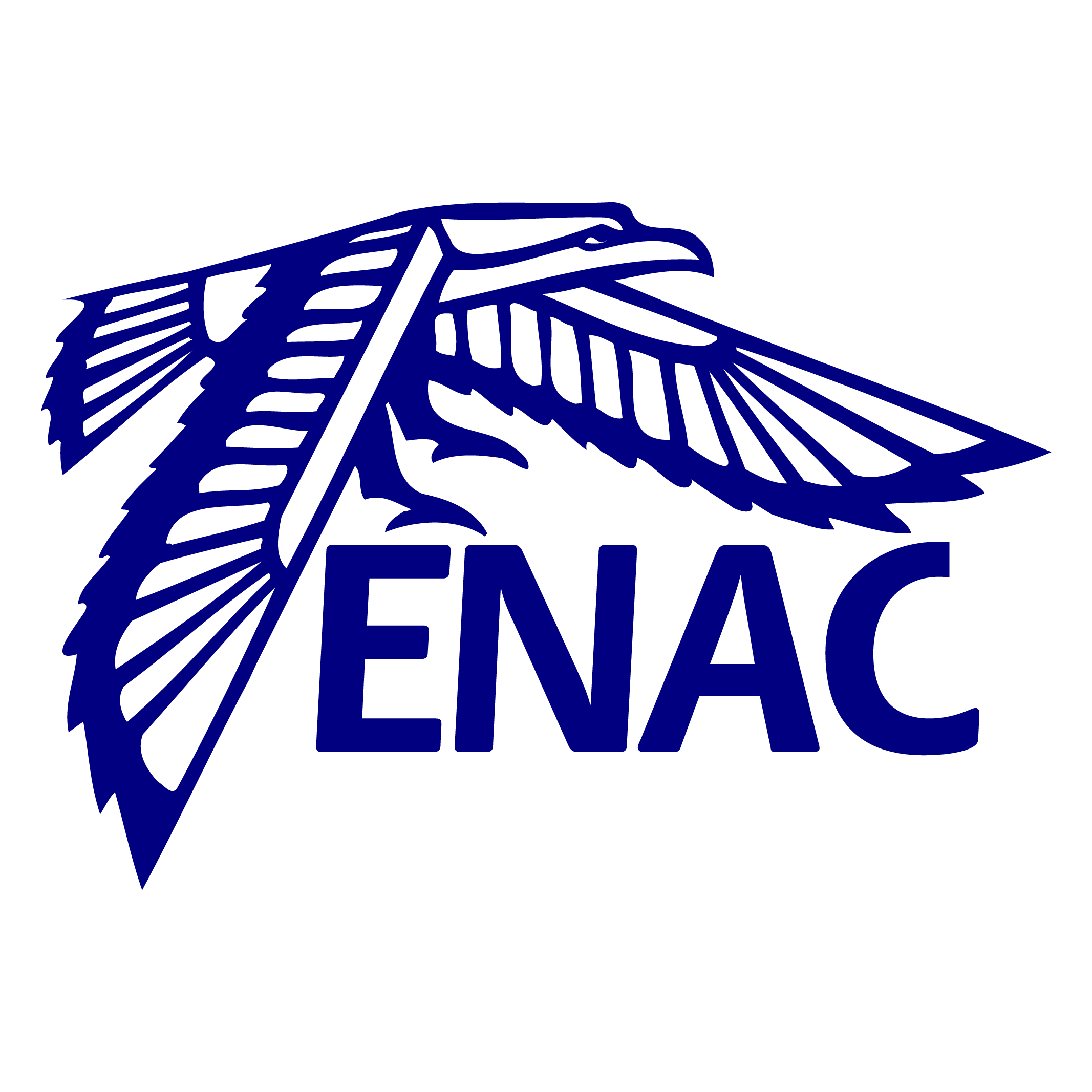 École nationale de l'aviation civile