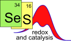 SeS Redox & Catalysis