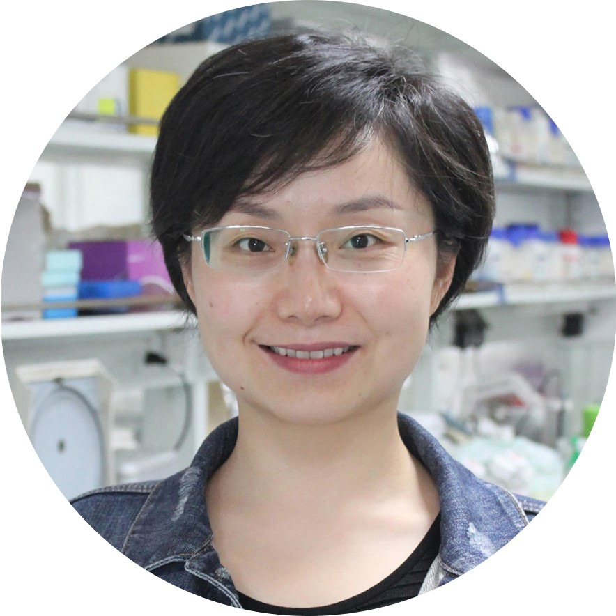 Prof. Dr. Ling-Ling Chen