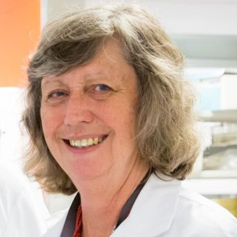 Prof. Dr. Mary Fletcher