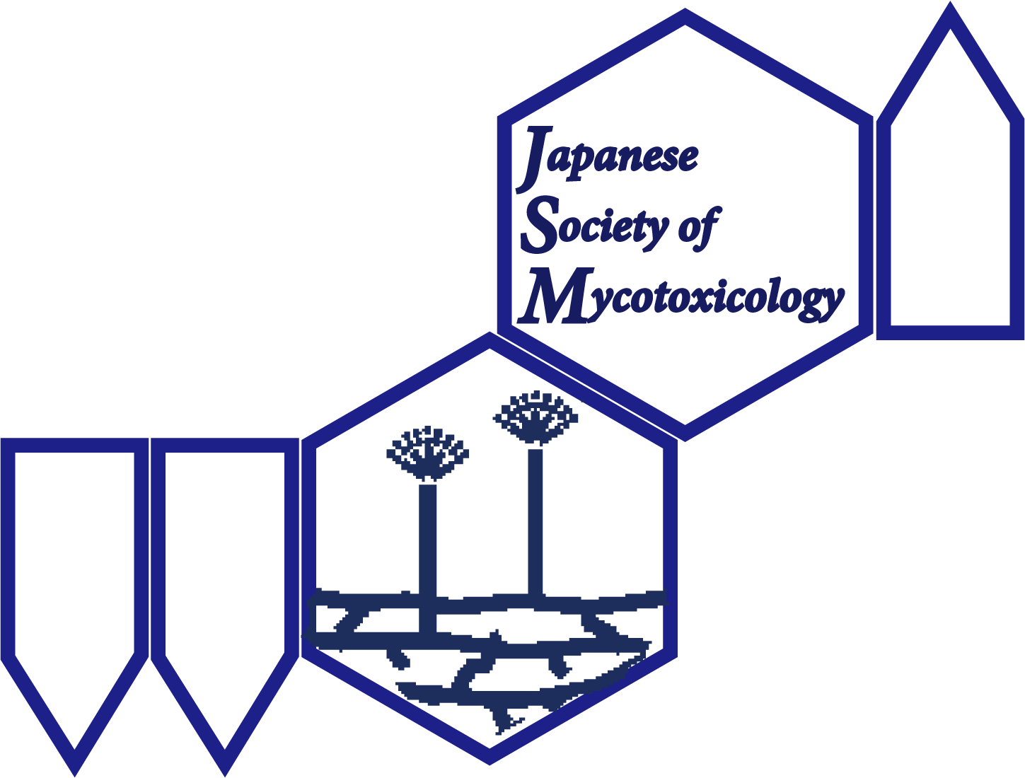 JSM
