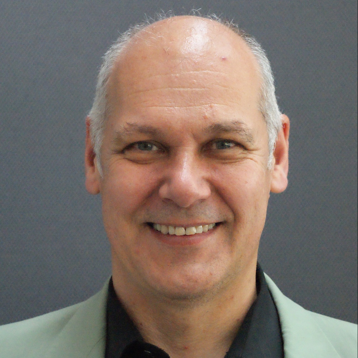 Prof. Dr. Stefan Seelecke