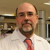 Prof. Dr. Francisco J. Romero