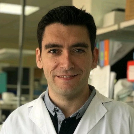 Dr. Juan Antonio Moreno Gutiérrez