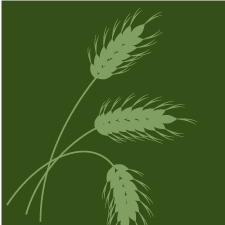 organizer logo