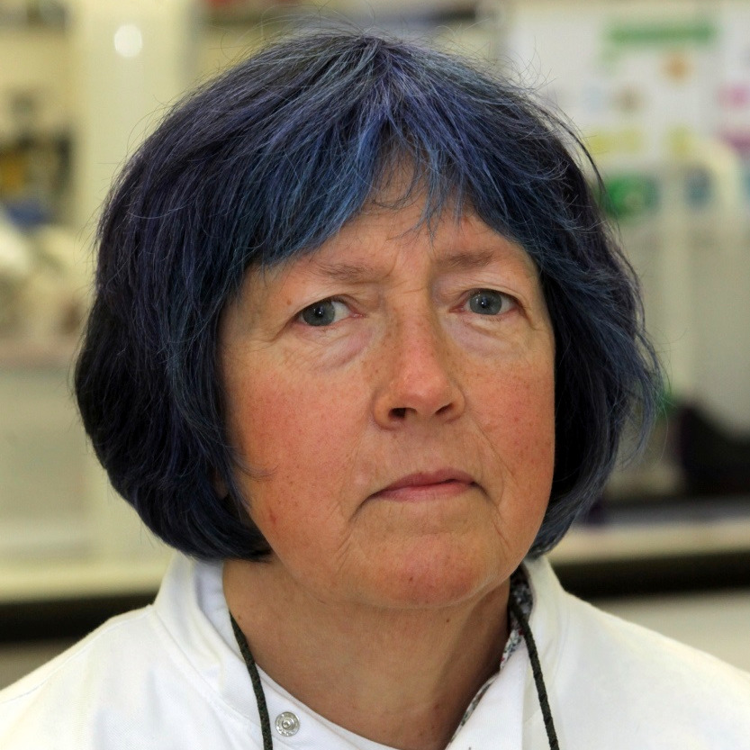 Prof. Dr. Nicola Curtin