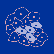 organizer logo