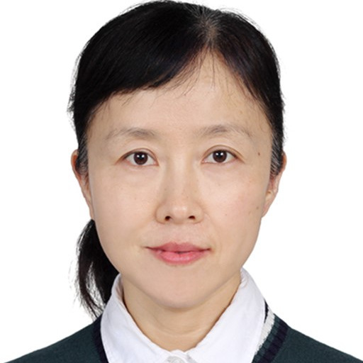 Prof. Dr. Chaofang Dong