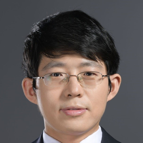 Prof. Dr. Xiaoyan Li