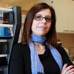 Prof. Dr. Paula Gomes