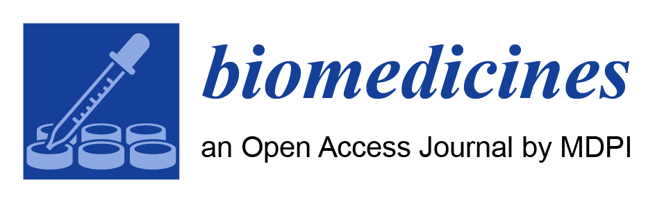 Media Partner