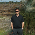 Dr. Paulo Alexandre Martins Fernandes