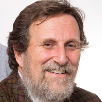 Prof. Dr. Pierluigi Zoccolotti