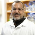 committee member profile