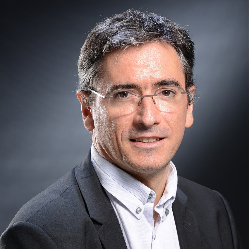 Mr. Julien Roche