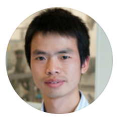 Dr. Jianfa Zhang