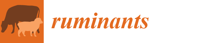 Ruminants