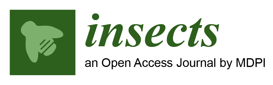 Insects