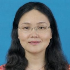 Prof. Dr. Jun Wu