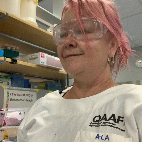 Prof. Ala Tabor
