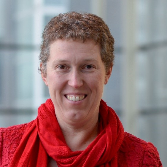 Prof. Heidi Ottevaere